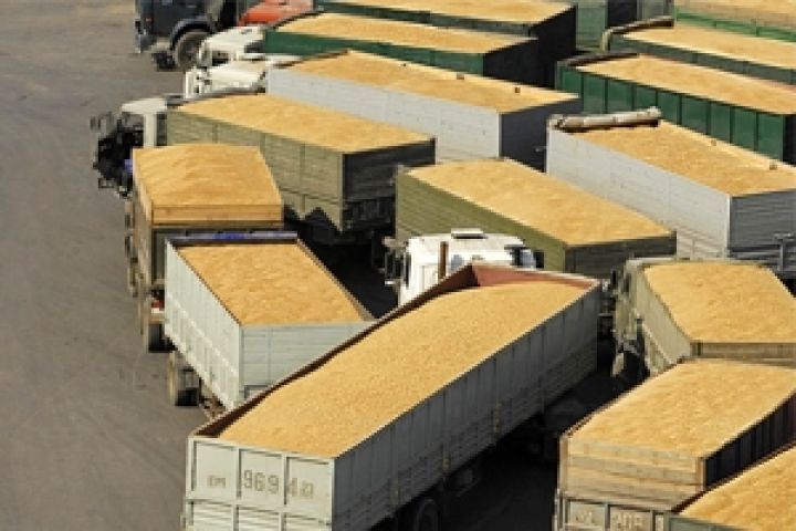 Зерновози знову на порядку денному — депутати вимагають переглянути маршрути руху вантажівок