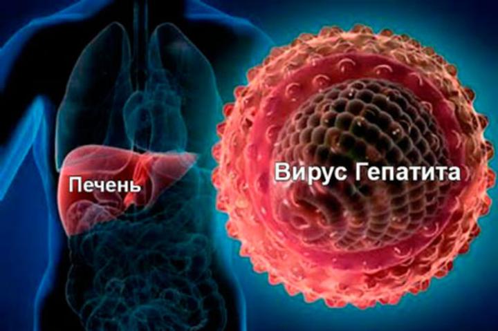Софосбувир: инновационное лекарство для лечения гепатита C