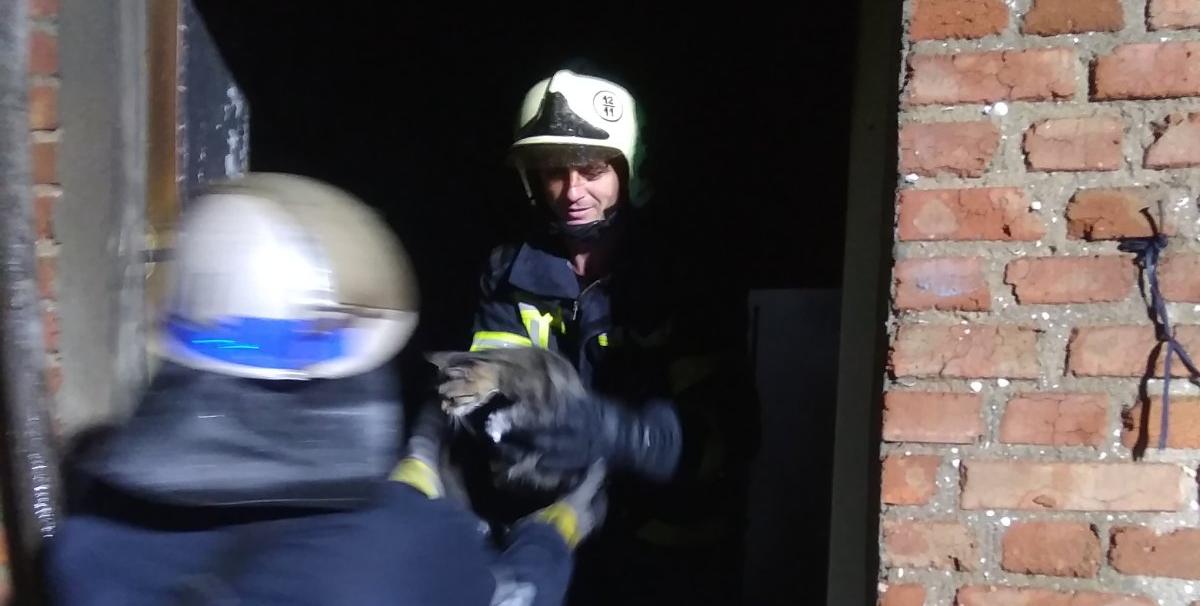 В Нововасильевке загорелся дом. Пожарные погасили огонь и спасли кота