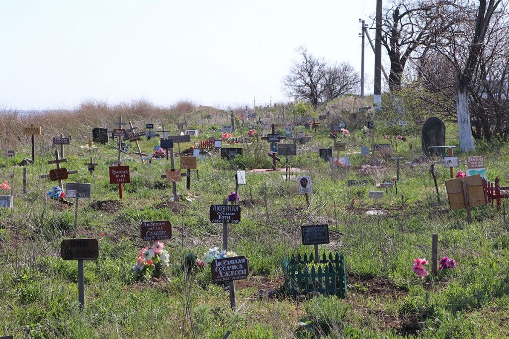 В Бердянске кладбище животных за три года увеличилось вдвое. Некоторые памятники круче, чем у людей