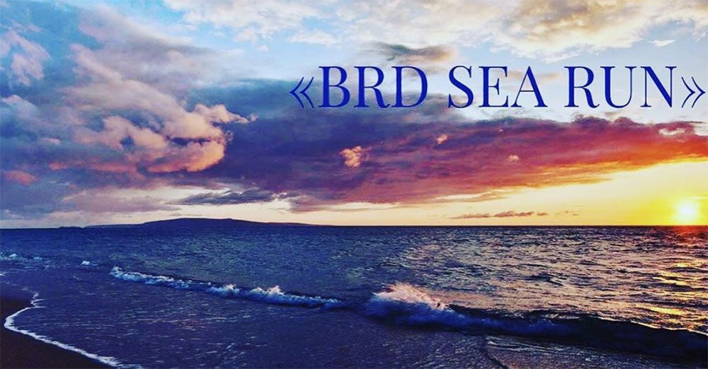 В Бердянске пройдет грандиозный турнир на выносливость «Вrd Sea Run»