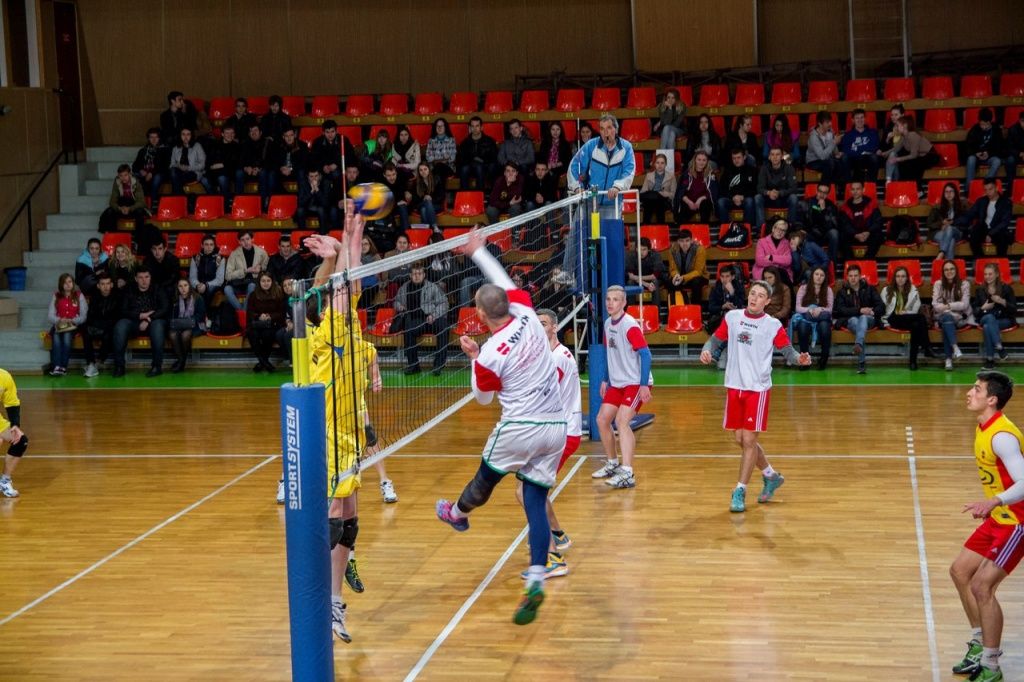 Волейболисты бердянского БГПУ победили на турнире в Мариуполе