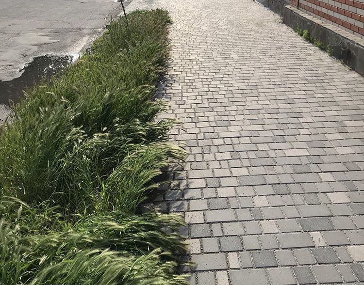 Покіс трави в Бердянську буде завершено до кінця тижня
