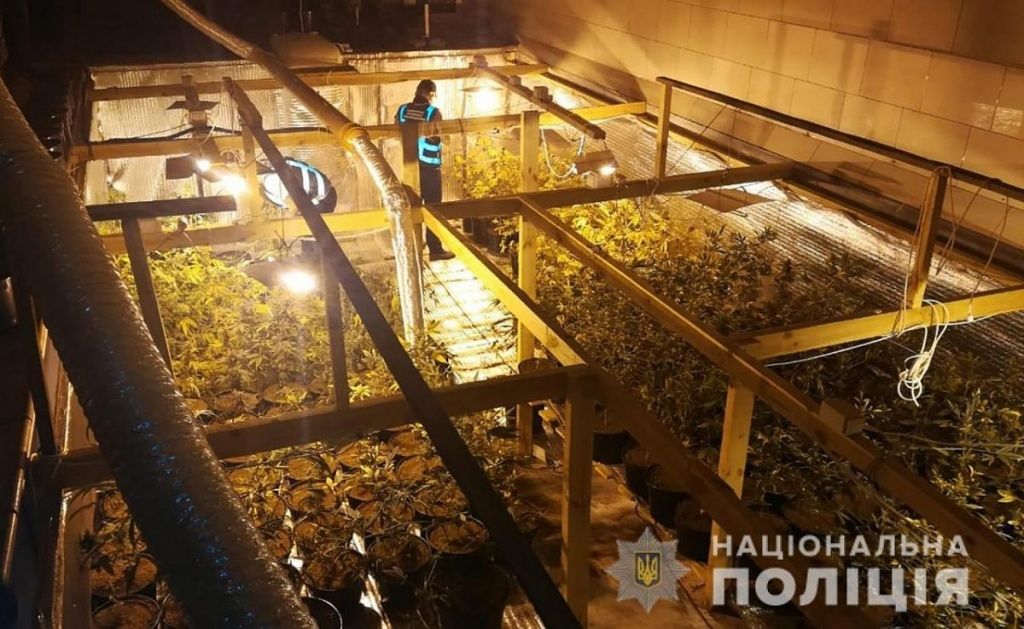Бердянцю, в якого вилучили наркотиків на 1 мільйон гривень, обрано запобіжний захід