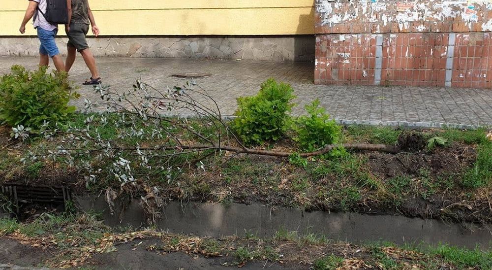 Недільний шторм не завдав шкоди Бердянську. По області 25 населених пунктів без світла