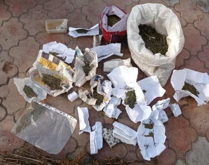 У Приморську поліцейські виявили правопорушника, який за місцем мешкання вирощував нарковмісні рослини