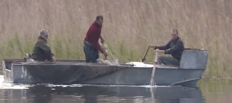 Бердянские рыбаки засняли браконьеров, которые трусили сетки на водохранилище