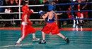Бердянские боксеры успешно выступили в Всеукраинском турнире