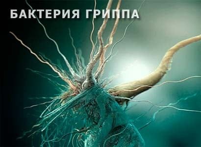 В Бердянском районе грипп