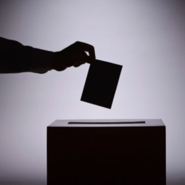 На выборы в Бердянске пришло 48.5% избирателей