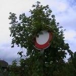 В Бердянске стерлась разметка и заросли травой дорожные знаки