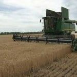Уборочная кампания в Бердянском районе дает сбой