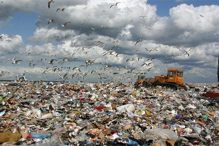 Бердянский полигон твердых бытовых отходов планируют реорганизовать