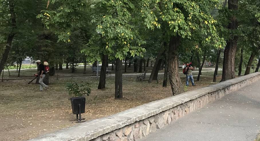 В Бердянську рятують дерева від шкідників