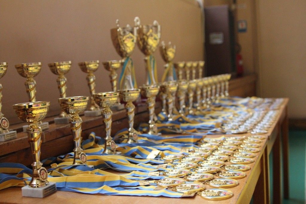 1 марта в Бердянске прошли соревнования по каратэ