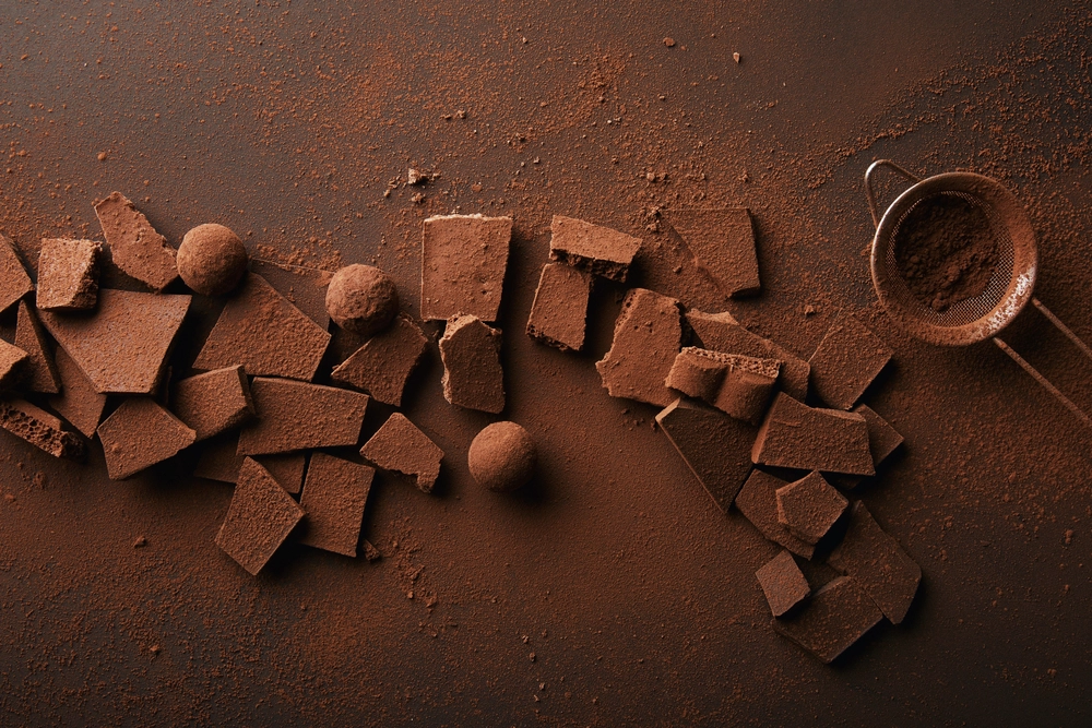 Дев'ять корисних властивостей чорного шоколаду, про які вам варто знати