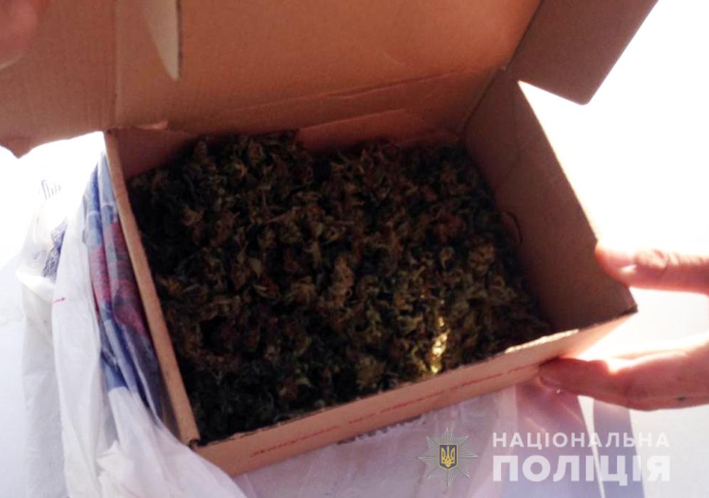 Бердянські поліцейські вилучили марихуану у мешканця Бердянська