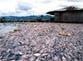 Изъяли 12 тонн незаконно выловленной рыбы