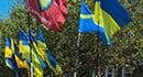 День Государственного Флага Украины в Бердянске