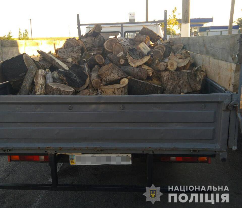 У Бердянському районі поліцейські виявили факт незаконної порубки дерев