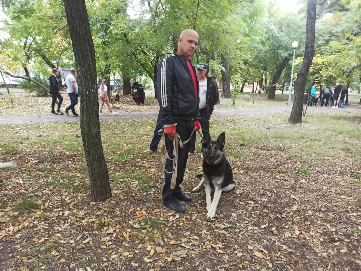 Виставка собак – в Бердянську пройшов кубок «Азов-2021»