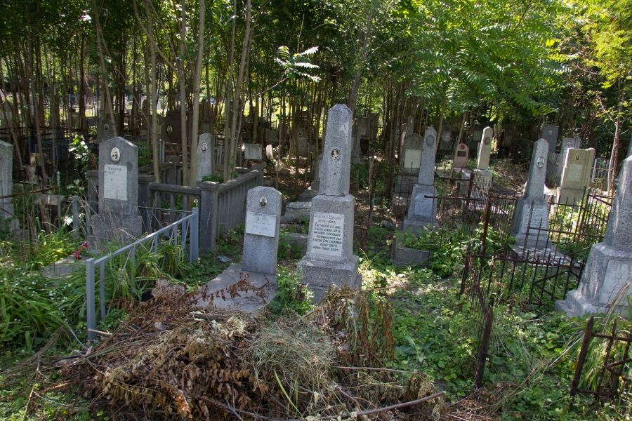 В Бердянске на «старом» кладбище обнаружен труп