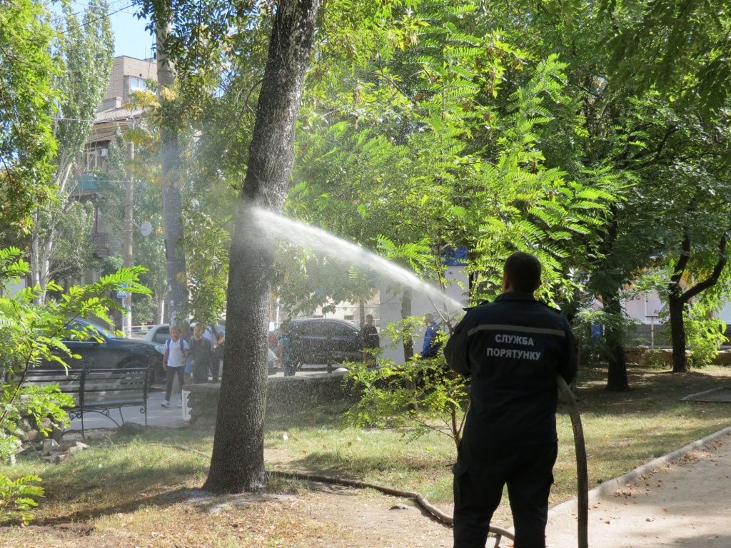 Міська влада продовжує шукати дієві методи очищення дерев від червеця