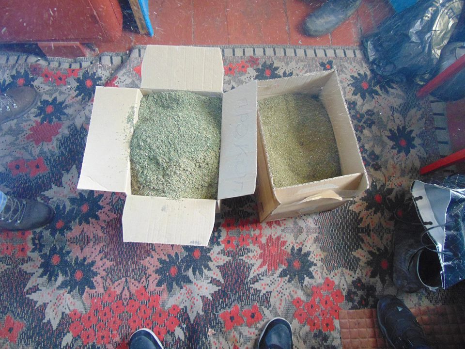У жителя бердянского района изъяли марихуаны на 700 тыс грн.