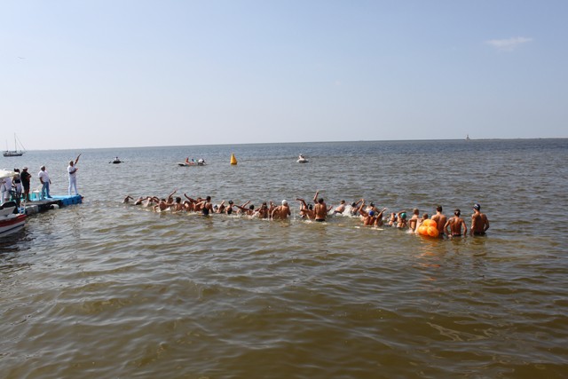 Чемпионат по плаванию на открытой воде в Бердянске 2012