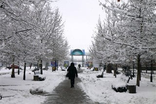 зима в Бердянске