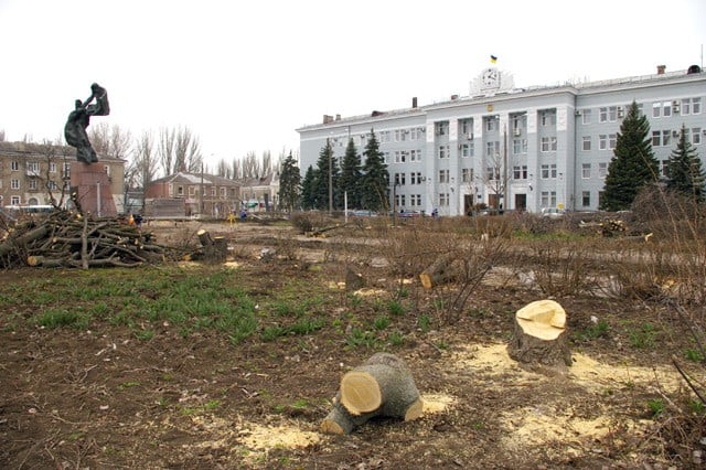 деревья возле исполкома