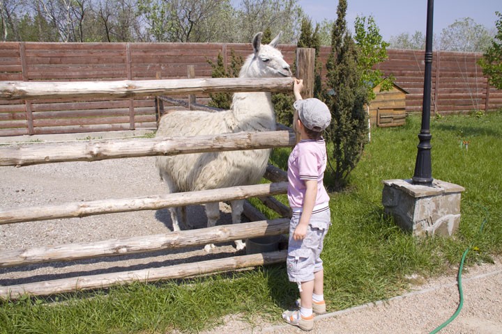 В зоопарке 