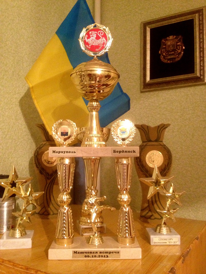 Каратэ Бердянск 2013
