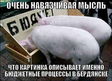 Бердянские мемы