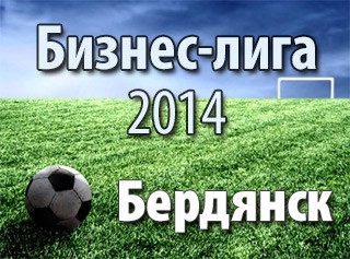 Бизнес-лига Бердянска 2014