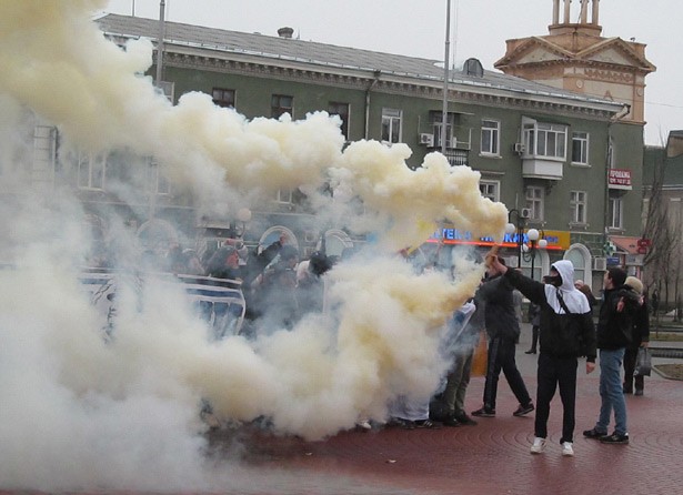 в поддержку Павличенко