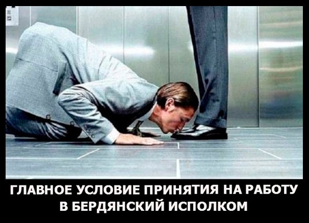 бердянские мемы от Брд24