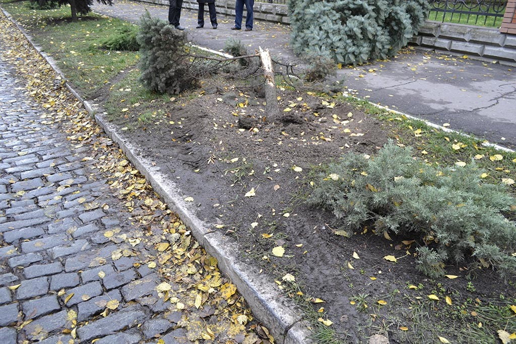 ДТП возле БГПУ снели елку