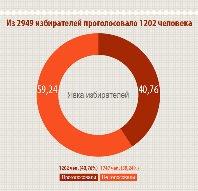 Выборы на Лисках