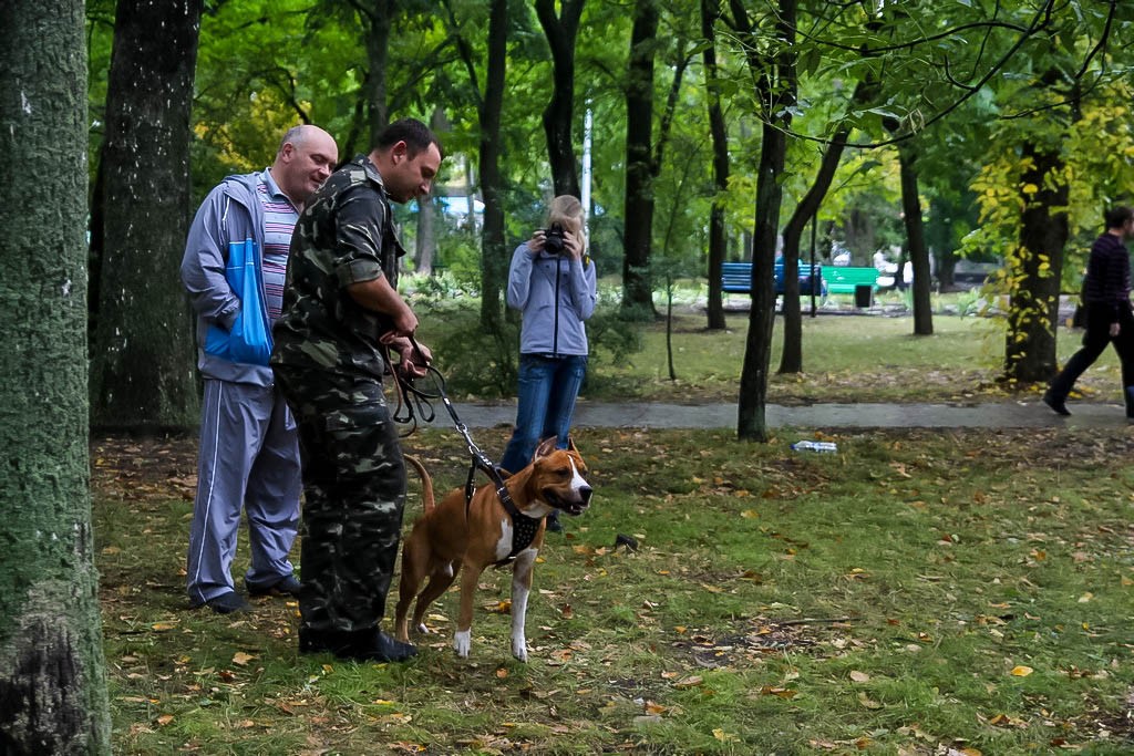 выставка собак в Бердянске на день города