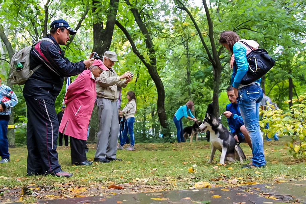 выставка собак в Бердянске на день города