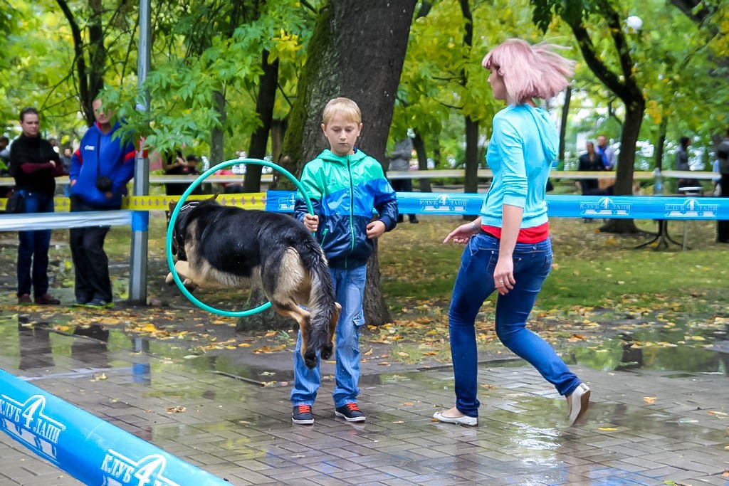 выставка собак в Бердянске на день города