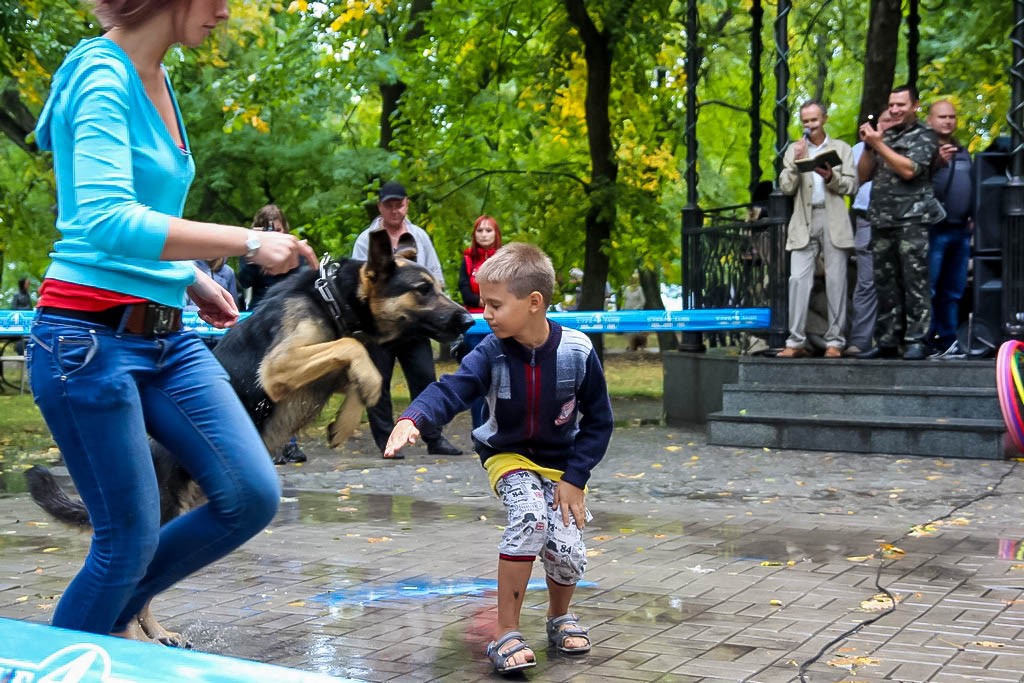 выставка собак в Бердянске на день города