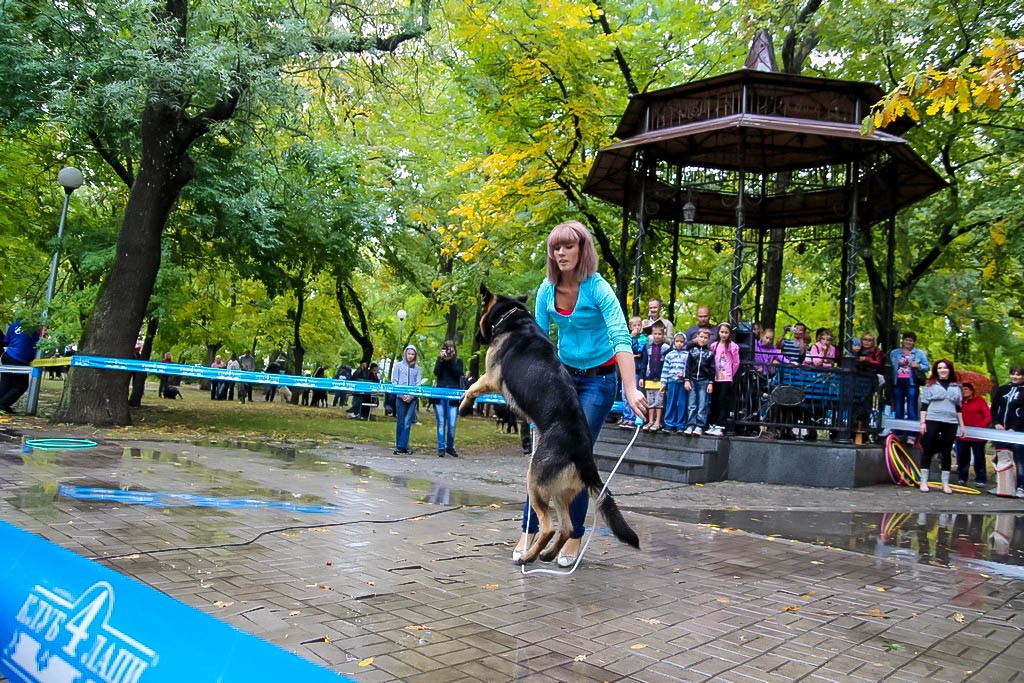 выставка собак в Бердянске на день города