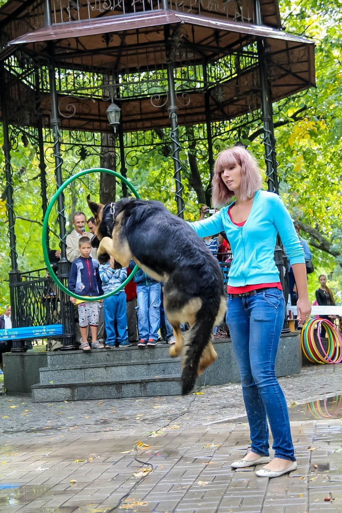 выставка собак в Бердянске на день города