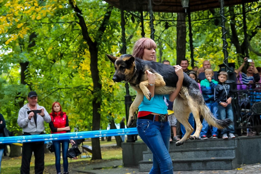 выставка собак в Бердянске на день города