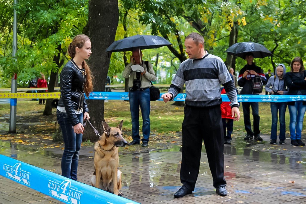 выставка собак в Бердянске на день города