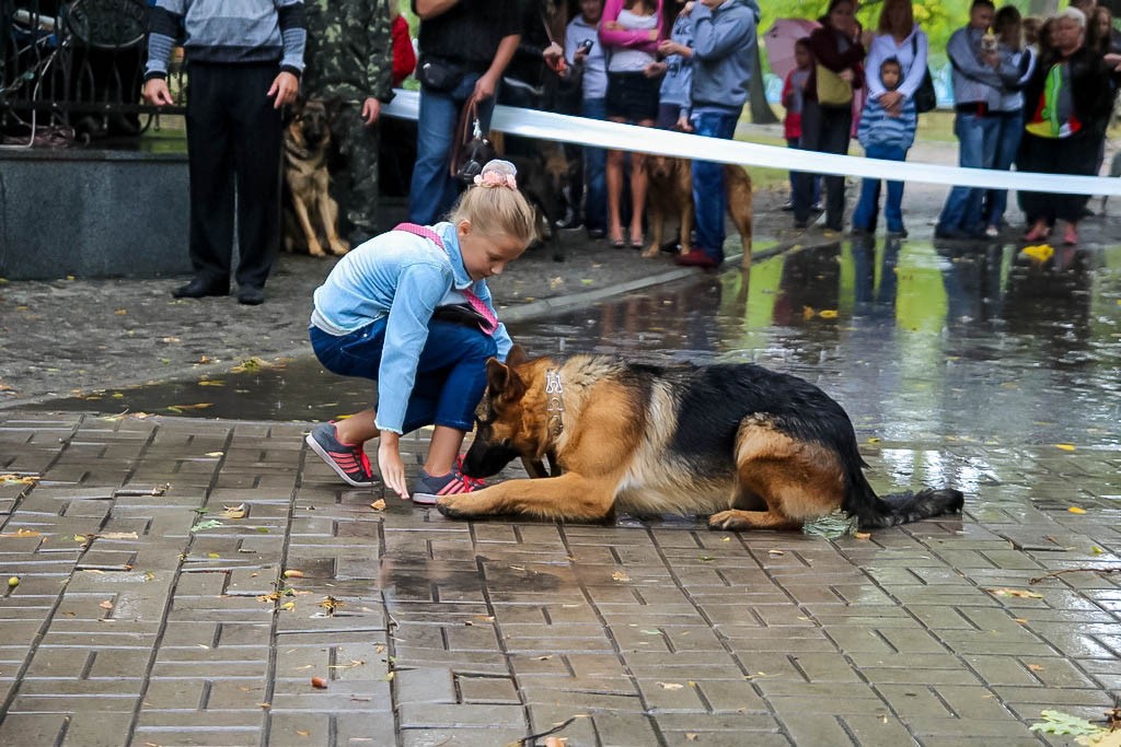 выставка собак в Бердянске на день города