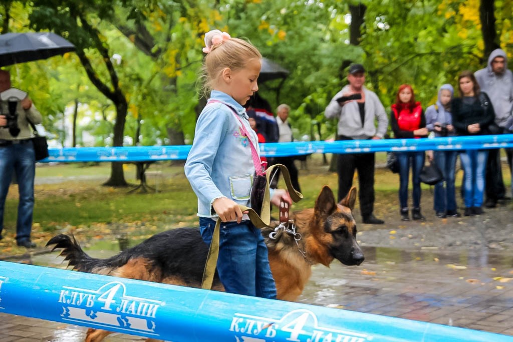 выставка собак в Бердянске на день города