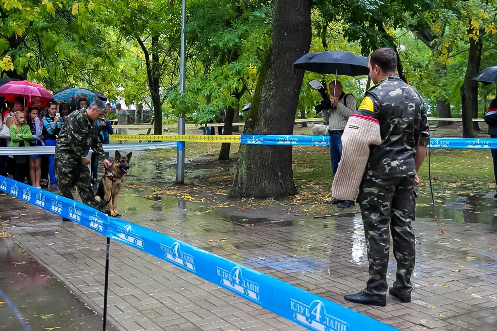 выставка собак в Бердянске на день города